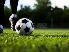 乐鱼体育,资讯,乐鱼体育官网,乐鱼体育官网,LeYu,Sports,乐鱼体育中国官网,LeYu,Sports体育平台,乐鱼体育服务