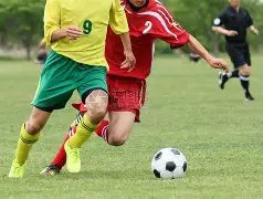 坚定信念,纽卡高层力,挺埃迪,乐鱼体育官网,LeYu,Sports,乐鱼体育中国官网,LeYu,Sports体育平台,乐鱼体育服务