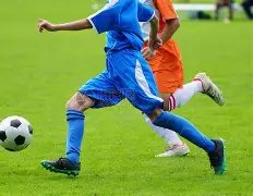 乐鱼体育,资讯,乐鱼体育官网,乐鱼体育官网,LeYu,Sports,乐鱼体育中国官网,LeYu,Sports体育平台,乐鱼体育服务