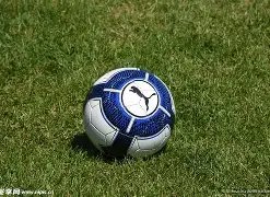 激情碰撞,巅峰对决,上海战队挑,乐鱼体育官网,LeYu,Sports,乐鱼体育中国官网,LeYu,Sports体育平台,乐鱼体育服务